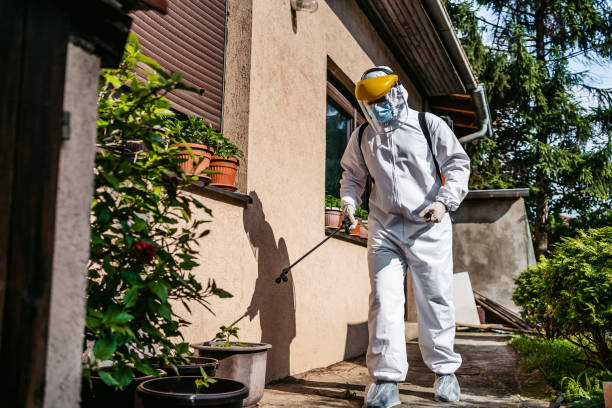 Best Pest Removal Services  in Raleigh Hills, OR