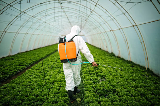 Best Residential Pest Control  in Raleigh Hills, OR