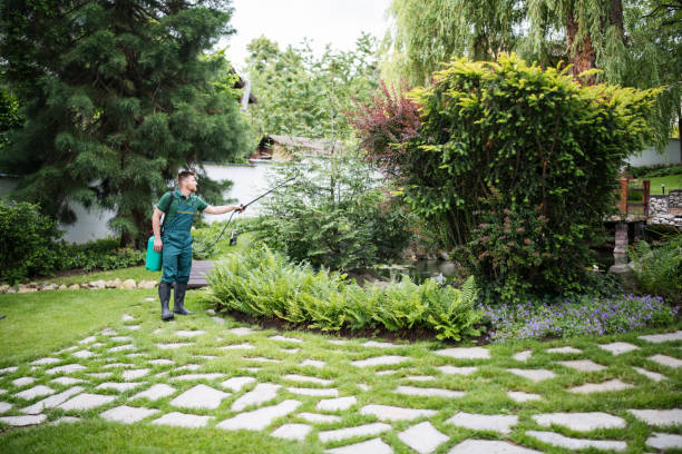 Best Affordable Pest Control Services  in Raleigh Hills, OR