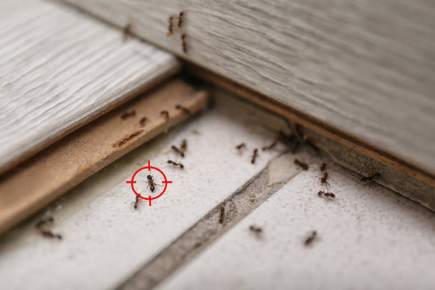 Raleigh Hills, OR Pest Control Company