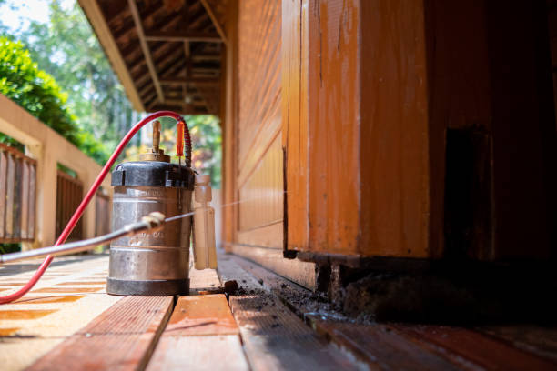 Best Termite Control Services  in Raleigh Hills, OR