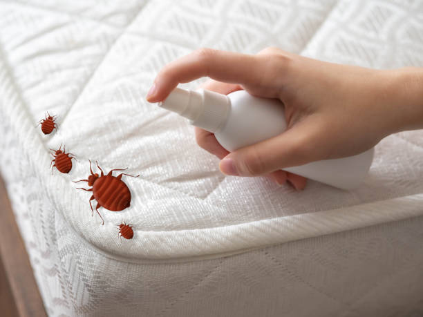 Best Mosquito Control Services  in Raleigh Hills, OR