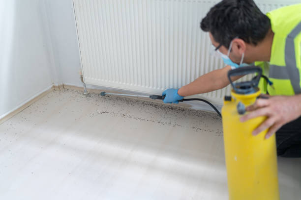 Best Ant Control Services  in Raleigh Hills, OR