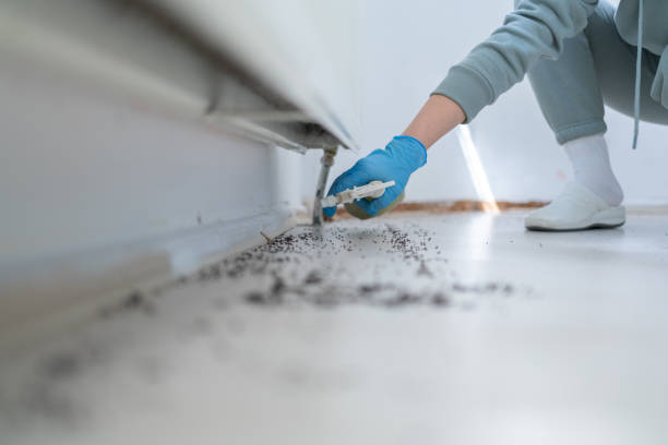 Best Flea Control Services  in Raleigh Hills, OR