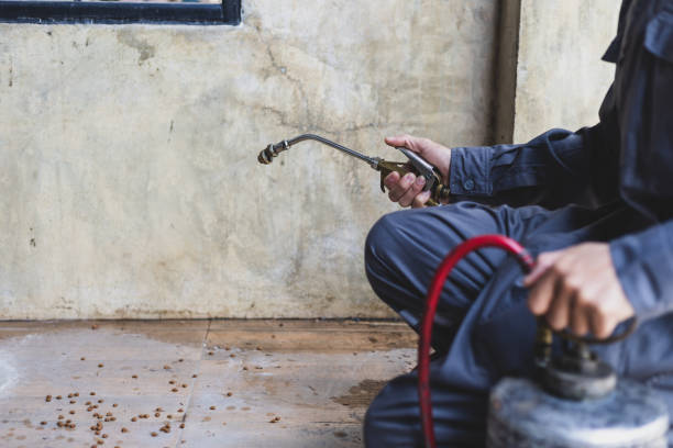 Best Affordable Pest Control Services  in Raleigh Hills, OR