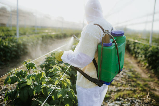 Insect Control in Raleigh Hills, OR